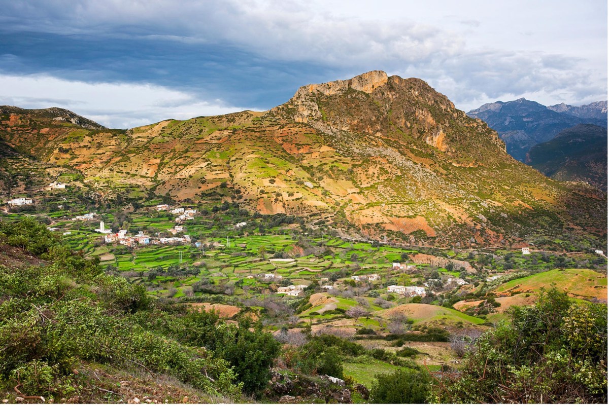 D&rsquo;Ifantras à Bruxelles, le voyage d&rsquo;une&nbsp;vie