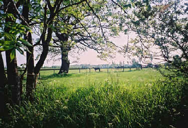 Au Nom de Dieu le Tout Rayonnant d’Amour, le Très Rayonnant&nbsp;d’Amour,